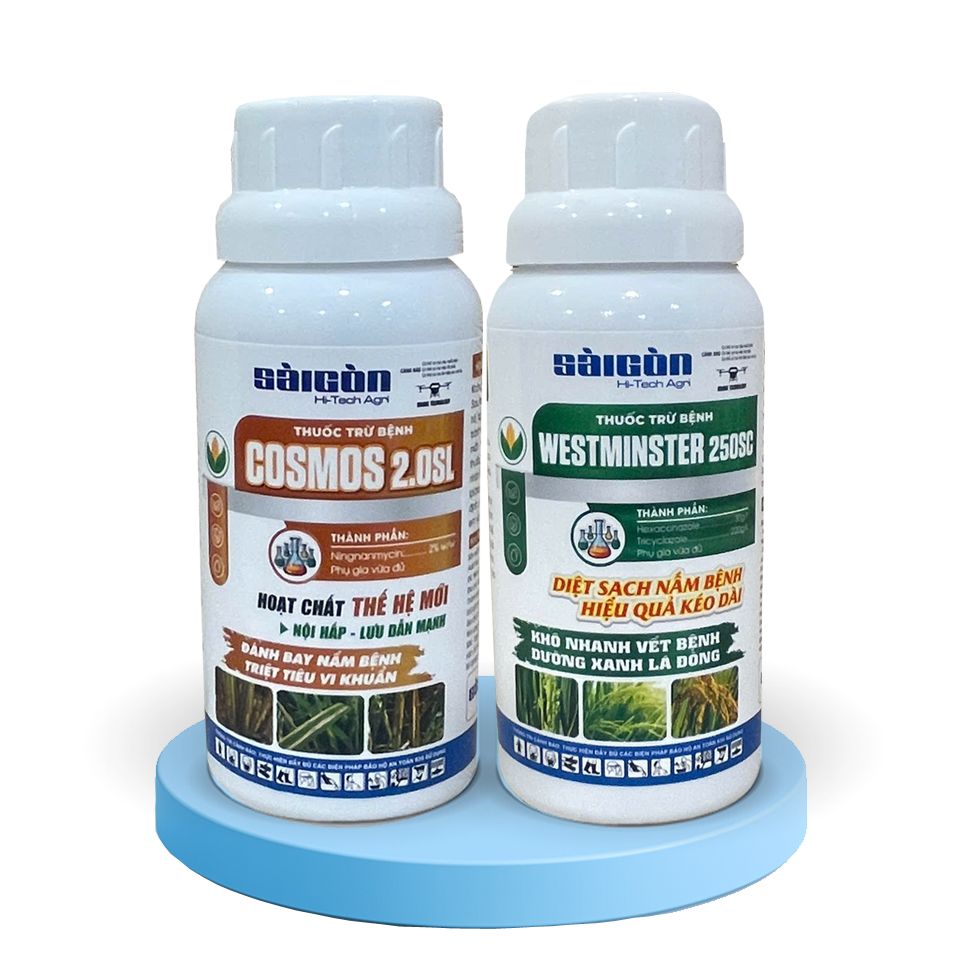 COSMOS 2.0SL + WESTMINSTER 250SC